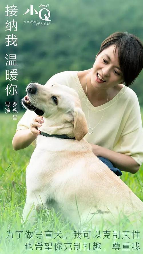 办理假蒙莫斯学院文凭毕业证